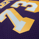 Regata Lakers Retrô Mitchell & Ness 1998/1999 Dennis Rodman Roxa