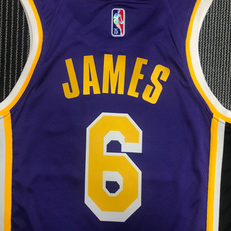 Regata NBA Los Angeles Lakers Edição Diamante 75 anos 21/22 Lebron James 6 Roxa