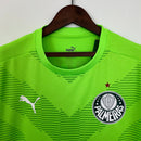 Camisa Palmeiras 23/24