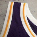 Regata Lakers Retrô Mitchell & Ness 1998/1999 Dennis Rodman Roxa